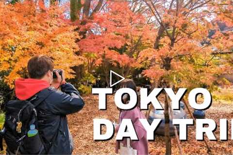 Best Day Trip from Tokyo in Autumn