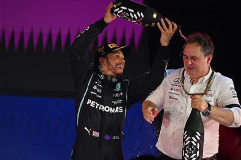 Lewis Hamilton’s Former Teammate Explains Just How Difficult the Briton is to Compete With 