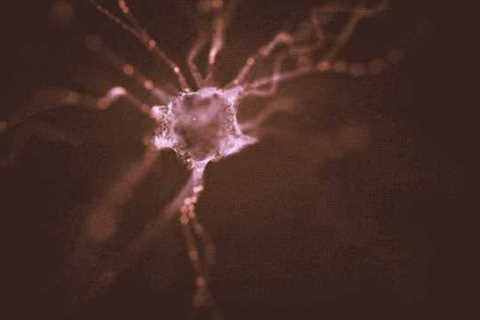 Designer neurons offer new hope for treatment of Parkinson’s disease