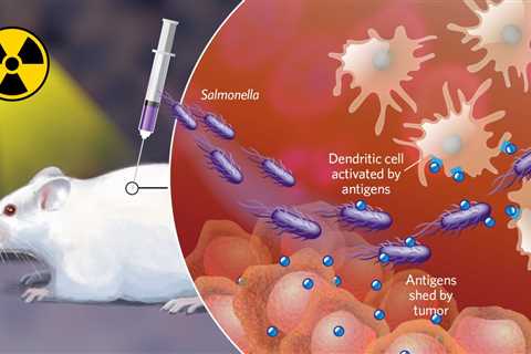 Infographic: Salmonella Shuttle Tumor Antigens to Immune Cells