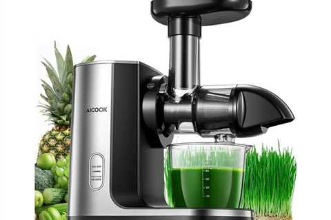 Gradual Masticating Juicer with Reverse Perform & Quiet Motor, Excessive Diet Remained for $89