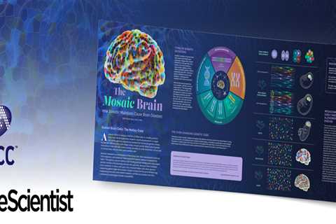 The Mosaic Brain