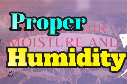 The best Dehumidifier for Home - Proper Air Moisture And Your Good Health