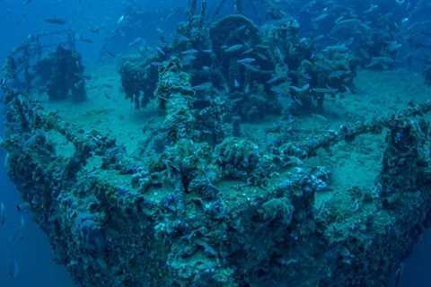 Millions of Shipwrecks Lost to The Ocean Are Changing Life in The Deep Sea
