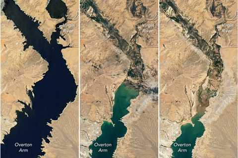 Human Bodies Keep Turning Up in Lake Mead, as Severe Drought Dries Reservoir
