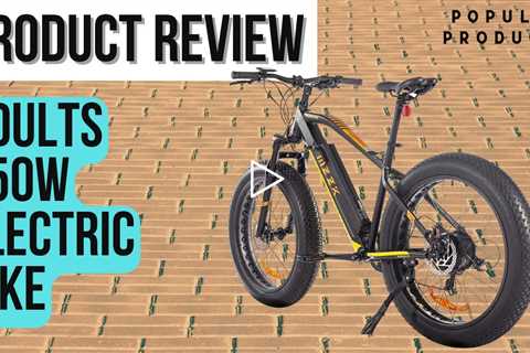 Fat Tire Electric Bike Review