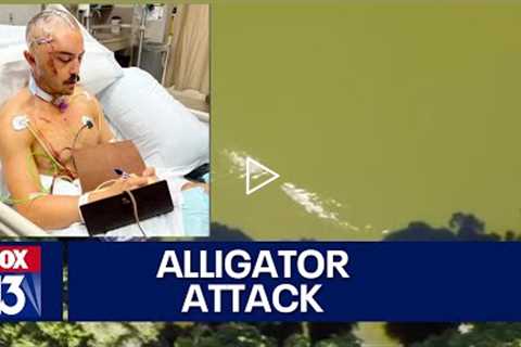 Drone video shows alligator attacking Florida man swimming in lake