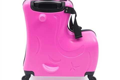 Transportable Common Wheel Baggage Carry On Baggage for $229
