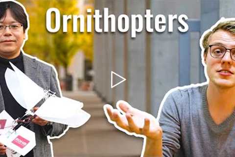 Ornithopters - the Future of Drone Technology? Feat. the WiFly