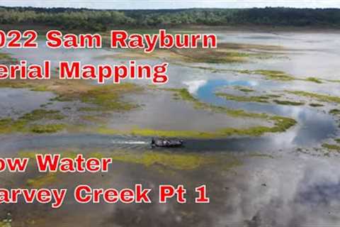 Rayburn 2022 Aerial Mapping at Low Water - Aerial footage Harvey Creek Part 1