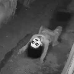 CCTV Captures What No One Was Supposed To See