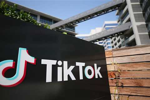 TikTok CEO shares video rallying Americans against its potential ban