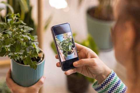 Best plant ID app deal