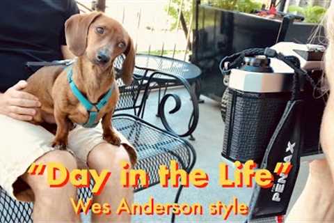 Day in the life of a mini dachshund (Wes Anderson style)