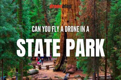 Can You Fly a Drone in a State Park?