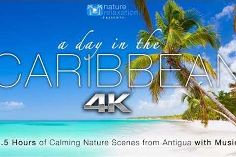 A Day in the Caribbean 4K 3.5 HR Nature Relaxation™ Ambient Film + Calming Music