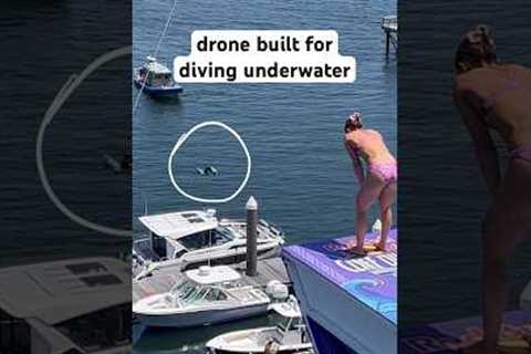This Drone Is A Professional Cliff Diver 🤿