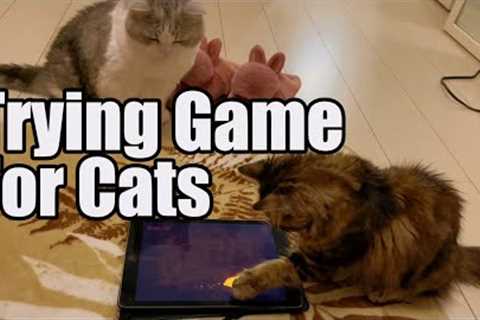 Trying game for cats