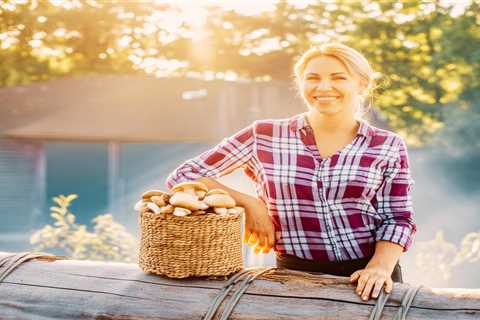 Organic Shiitake Mushroom Growing Kit: The Ultimate Guide