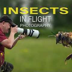 Photographing Flying Insects Is Almost Easy… With This Trick!