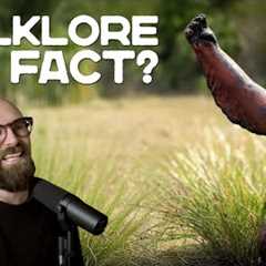 The Florida Skunk Ape Mystery...
