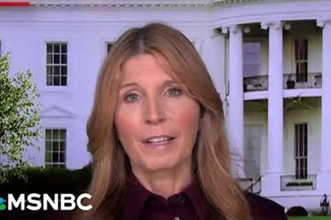 ‘They like the optics of manhandling a Democrat official’: Nicolle Wallace on ICE''s arrest tactics