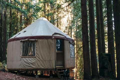 The Best Cellular Plans for International Coverage in Blaine, Minnesota