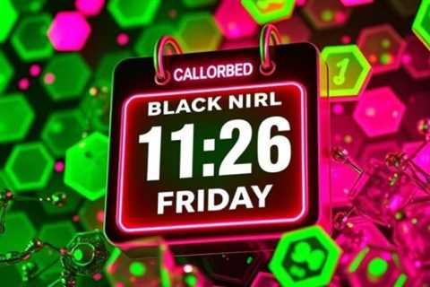 Black Friday Sets New Record at $11.8B in Online Spending: What's Next?