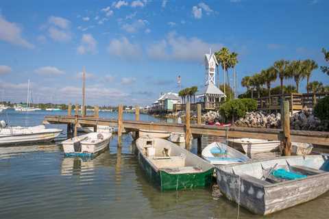 Exploring Amenities on Ferries: Food, Drinks, and More